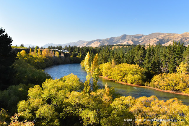 Clutha River in autumn