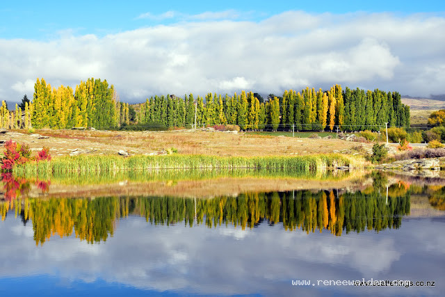 Reflections near Alexandra