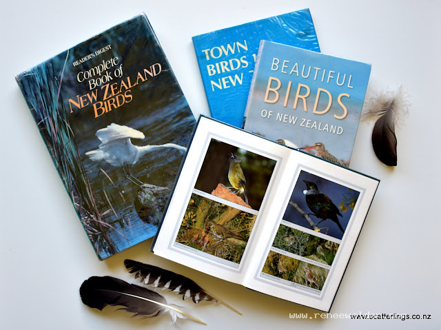 New Zealand bird books