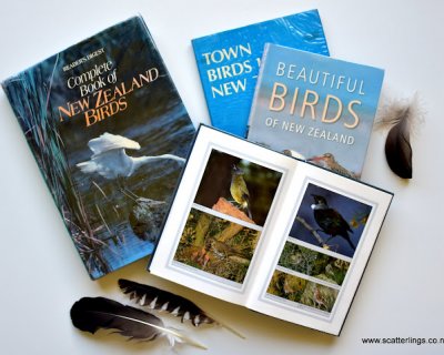little nz birds update