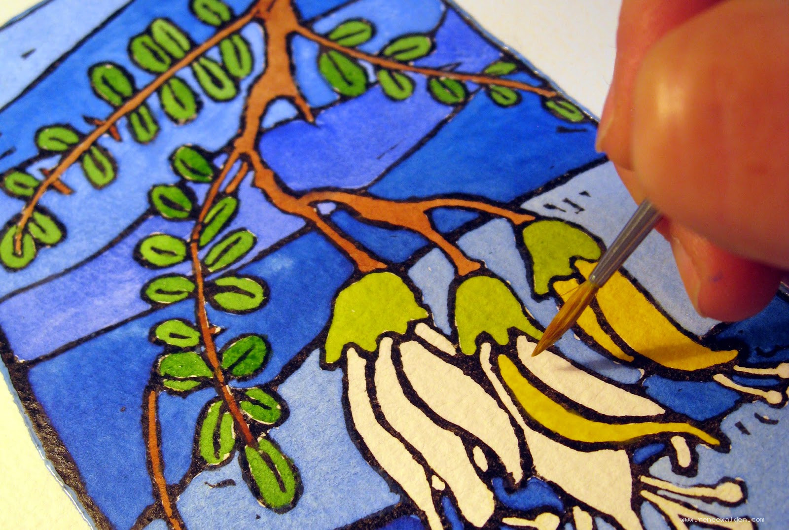 painting liquid sunshine - new zealand kowhai