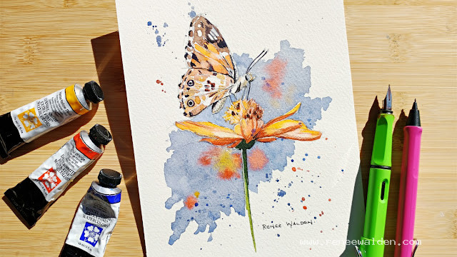 Watercolour butterfly on a cosmos flower