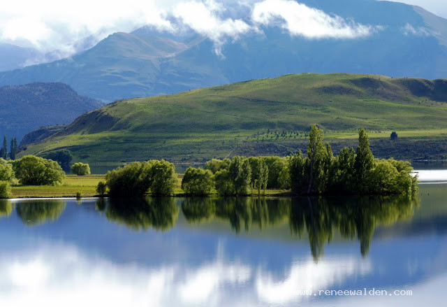Glendhu Bay, Lake Wanaka, New Zealand