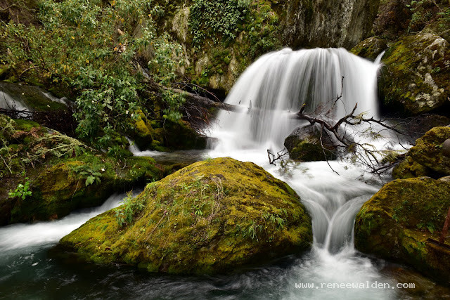Wye Creek, Queenstown