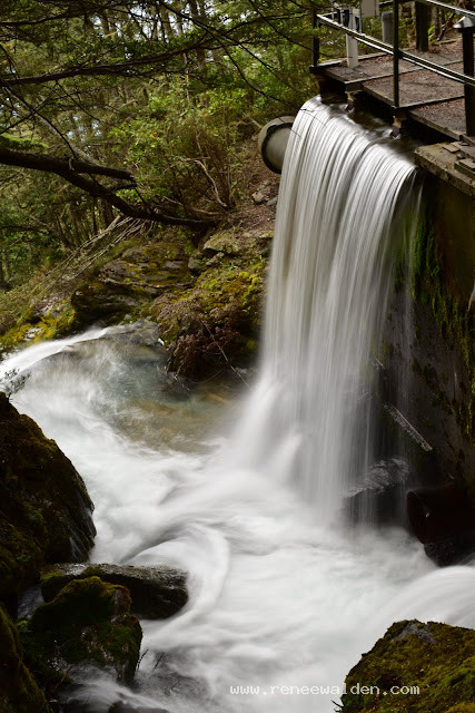 Wye Creek, Queensown