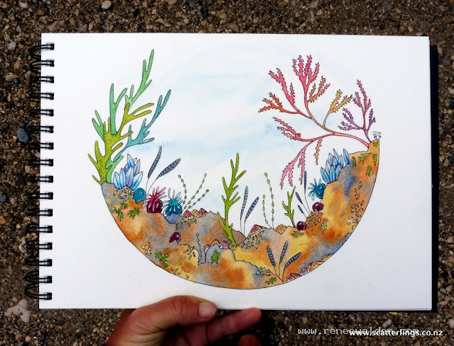 Rockpool treasures.