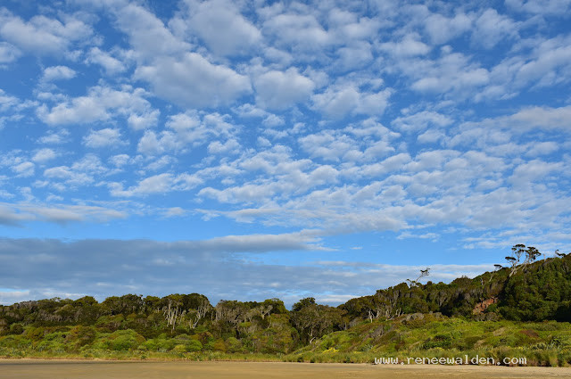 Beach, forest, clouds