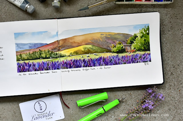 At the Wanaka Lavender Farm looking towards Crifflel Peak and Mt Barker
