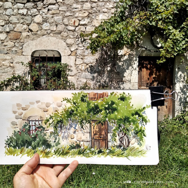 Rampant grape and blackberry vines covering an old house in Treminis L'Eglise.