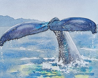 watercolour whale