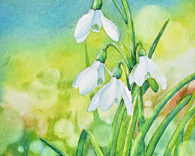 snowdrops in watercolour