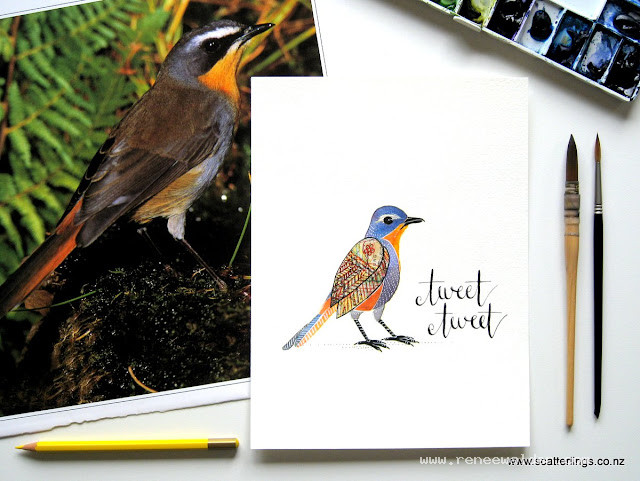 Cape Robin Chat