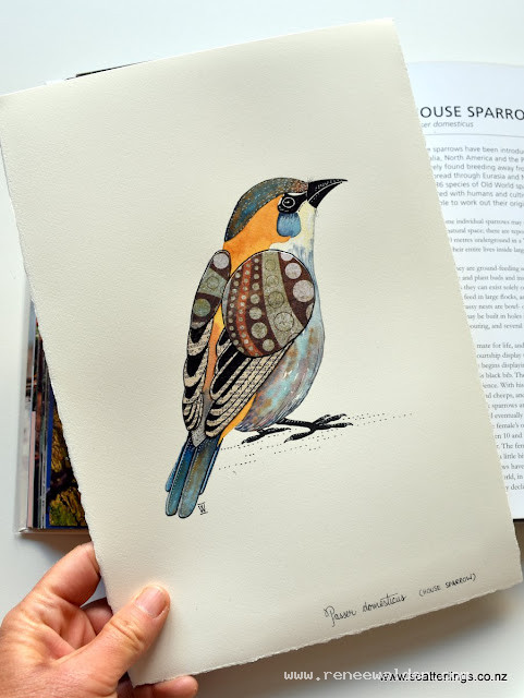House Sparrow