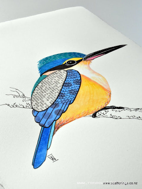 Sacred Kingfisher