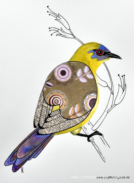 New Zealand Bellbird