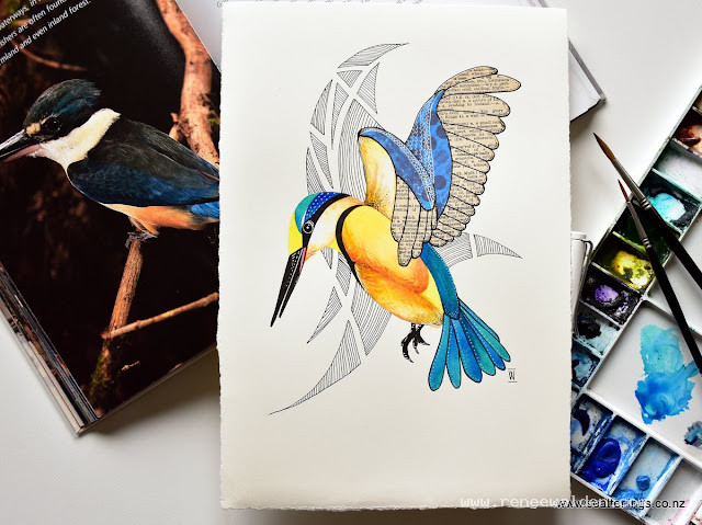 Sacred Kingfisher in flight