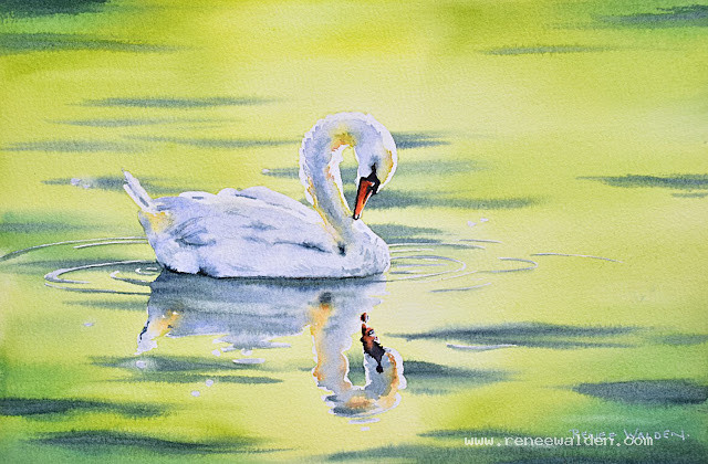 watercolour swan
