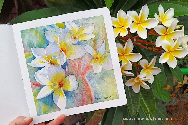 Watercolour painting of Frangipani flowers