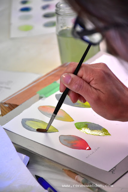 Watercolour theory