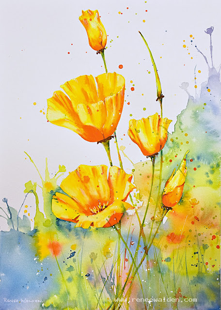 Californian poppies in watercolour