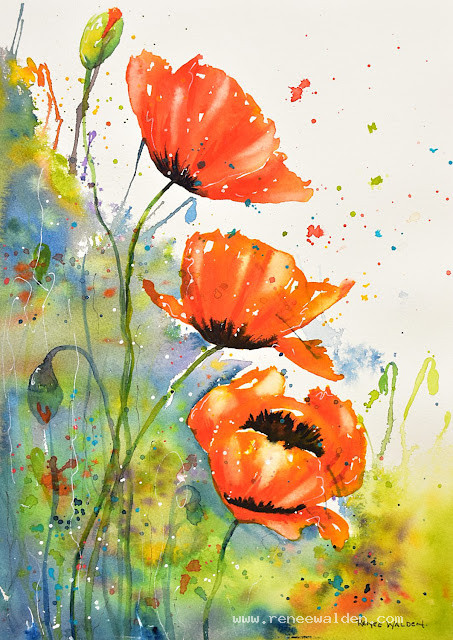 Red poppies in watercolour