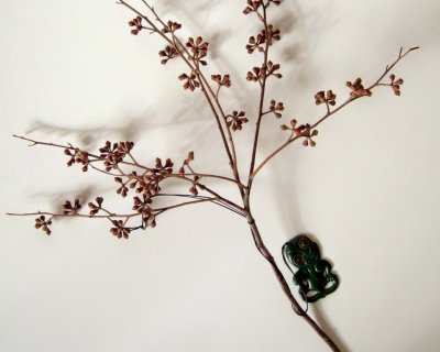 gumnuts & gum leaves