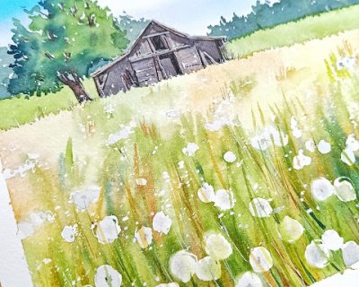 a barn in a field of dandelions