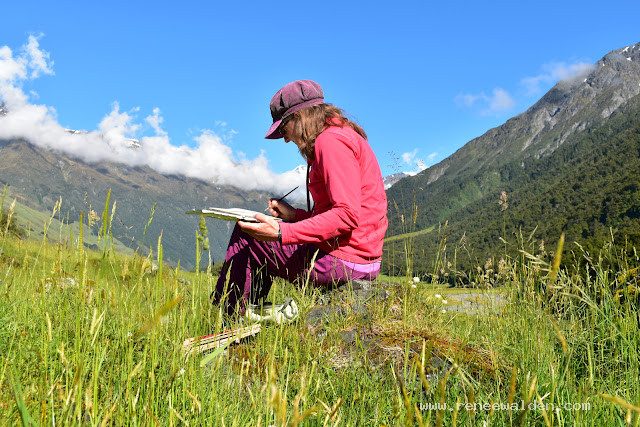 Painting in Mount Aspiring National Park, New Zealand