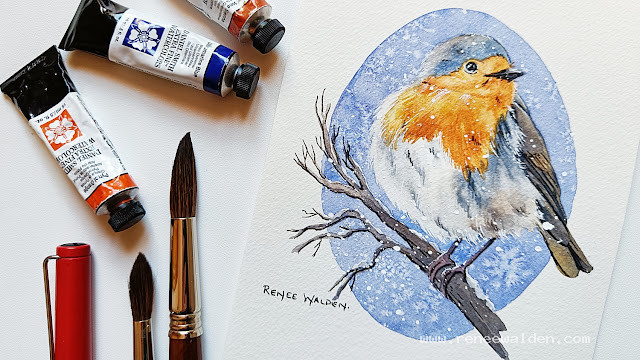 Paint a robin in watercolour