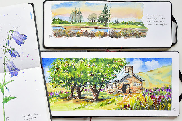 Hahnemuhle watercolour sketchbooks, A5 and pocket size