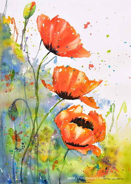 Paint glowing poppies in watercolour
