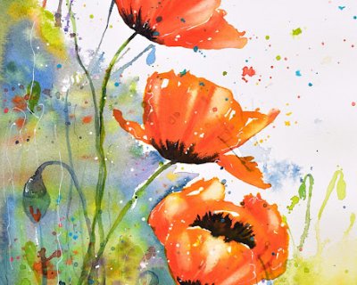 bold poppies in watercolour