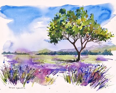 lavender meadow in watercolour