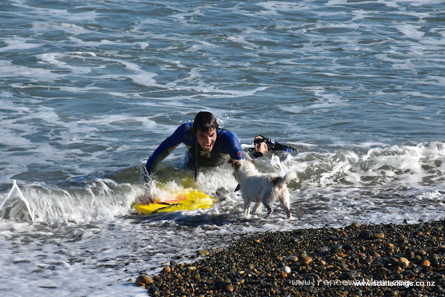 These 2 love the surf!