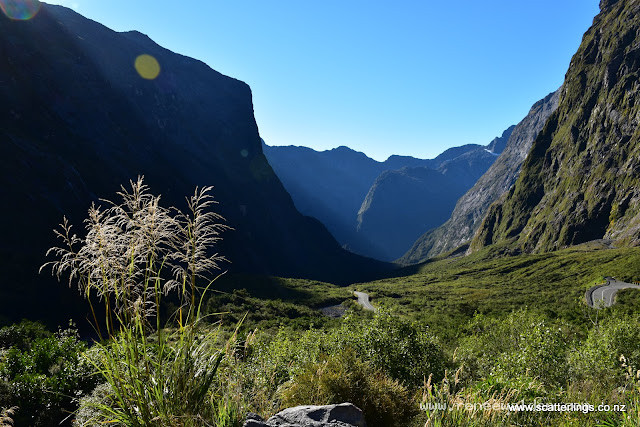 Cleddau Valley, Fiordland National Park