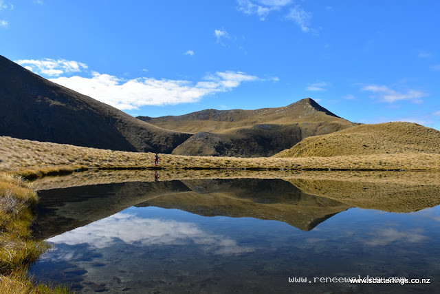Relfections, Fiordland National Park.