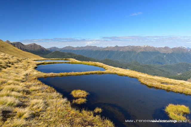 Alpine tarns, Fiordland National Park