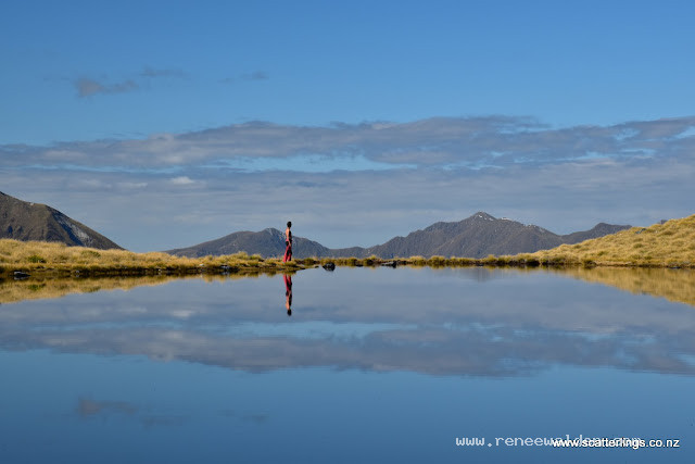 More reflections, Fiordland National Park