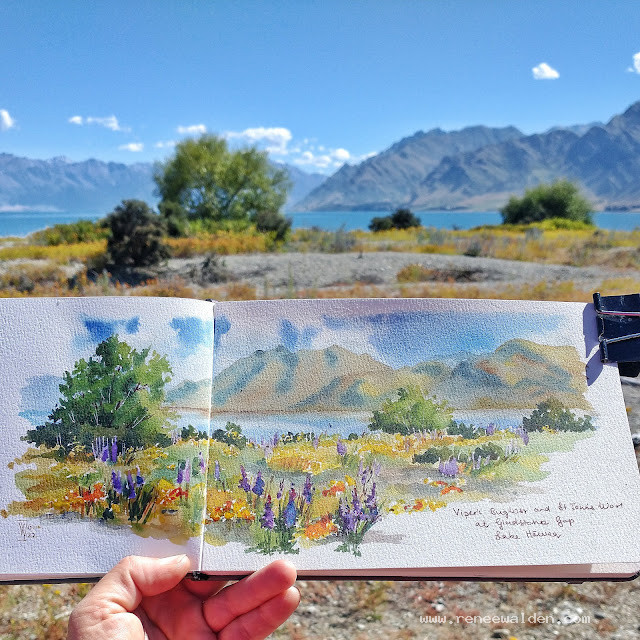 Vipers Bugloss and Californian Poppies, Gladstone Gap, Lake Hawea