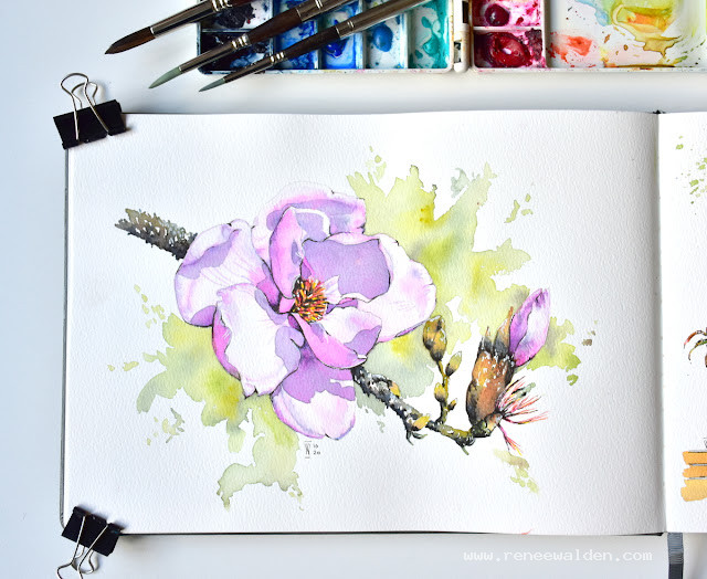 Pink magnolia in pen and watercolour