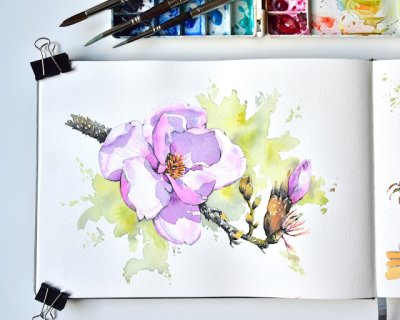 spring has sprung
