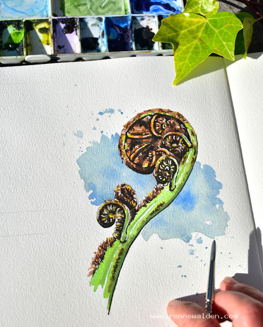 New tree fern frond "koru"