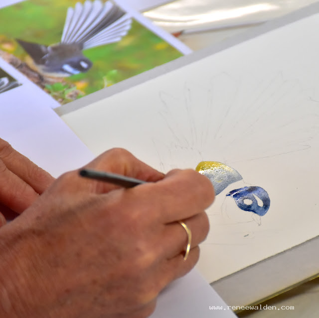 Adding watercolour to a pencil drawing