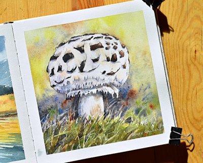mushroom season