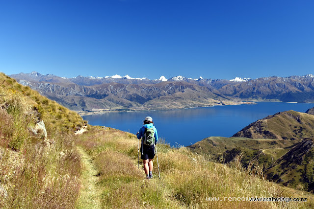 Southern Alps, New Zealand