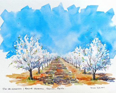 an almond orchard in watercolour