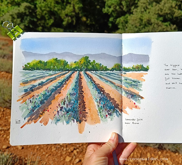 Lavender field, Provence