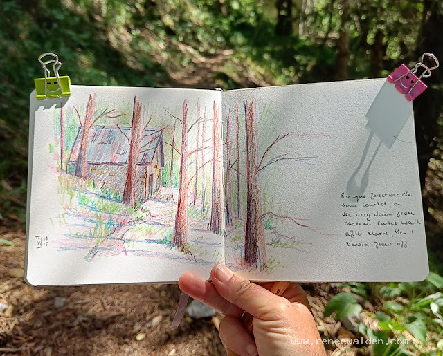 Coloured pencil sketch in a cool forest spot while hiking in the Devoluy mountains.
