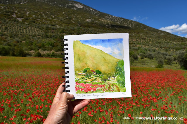 Fields of poppies, a sure sign of spring in Europe. Organya, Spain