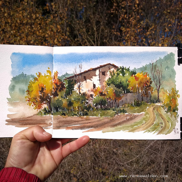 Trees and ivy taking over a ruined house near Lleida, Catalunya